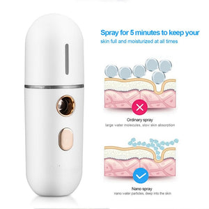Mini Portable Nano Face Steamer