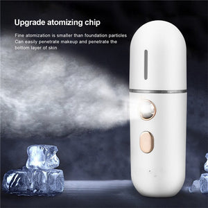 Mini Portable Nano Face Steamer